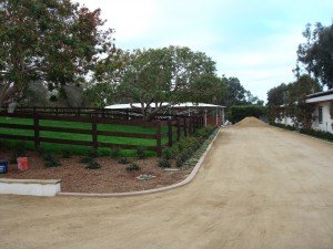 Horse Exerciser Footing